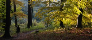 Herbst Chris1